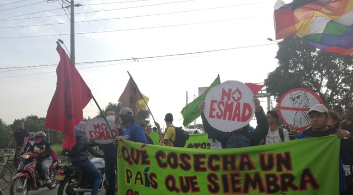 El Paro Nacional se toma la Novenas de Navidad en Cali