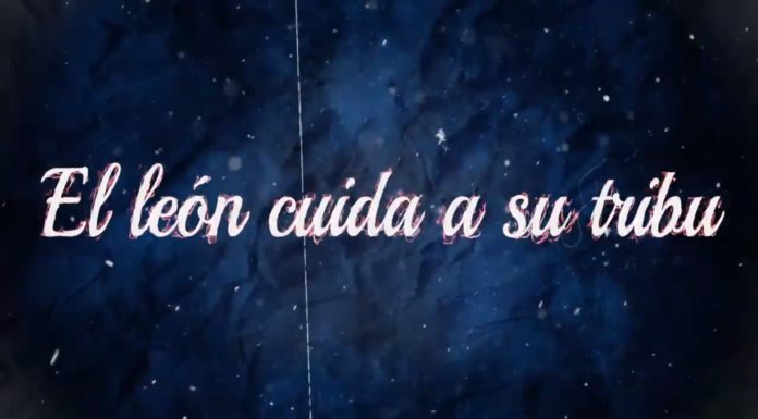 Leonel Álvarez: “En la Selección, a Rincón le llevaba el desayuno a la cama”
